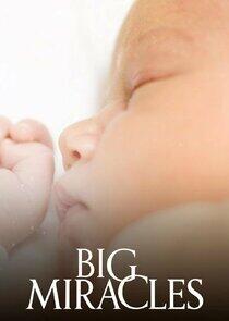 Big Miracles Big Miracles