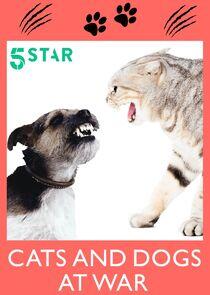 Cats and Dogs at War Cats and Dogs at War