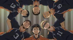 The Volleyball Freaks The Volleyball Freaks