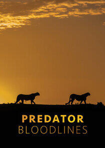 Predator Bloodlines Predator Bloodlines