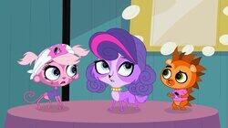 Terriers and Tiaras Terriers and Tiaras