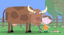 Cows Cows