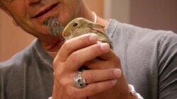 Bunny Love Bunny Love