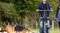 Snuf de Hond en het Spookslot (2) Snuf de Hond en het Spookslot (2)