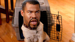 Puppy Dog Ice-T Puppy Dog Ice-T