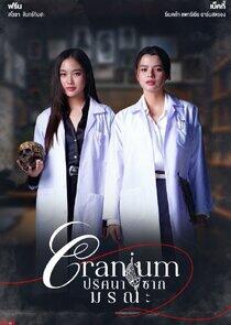 Cranium Cranium