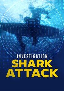 Investigation Shark Attack Investigation Shark Attack