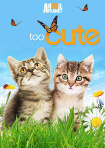 Too Cute! Too Cute!