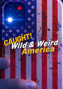 Wild & Weird America Wild & Weird America