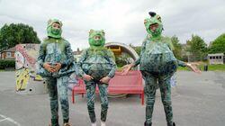 Toads Toads