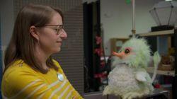 Leslie Evans: Senior R&D Imagineer Leslie Evans: Senior R&D Imagineer