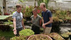 Carnivorous Plants Carnivorous Plants