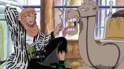 The Alabasta War Front! City of Dreams, Rainbase The Alabasta War Front! City of Dreams, Rainbase