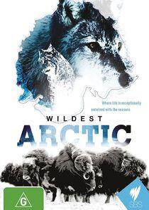 Wildest Arctic Wildest Arctic