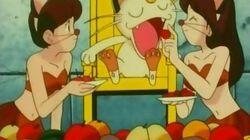 Meowth Rules! Meowth Rules!