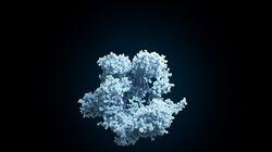 Human Nature / CRISPR Gene-Editing Reality Check Human Nature / CRISPR Gene-Editing Reality Check