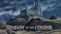 Shadow of the Condor Shadow of the Condor