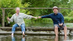 Brown Trout: River Test, Hampshire Brown Trout: River Test, Hampshire