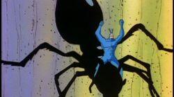 Ants in Pants! Ants in Pants!