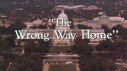 'The Wrong Way Home' 'The Wrong Way Home'