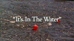'It's in the Water' 'It's in the Water'