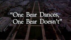 'One Bear Dances, One Bear Doesn't' 'One Bear Dances, One Bear Doesn't'