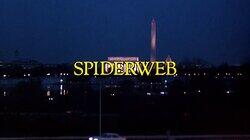 Spiderweb Spiderweb