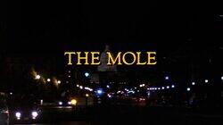 The Mole
