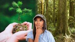 Surprising Truth Behind Planting Trees and Climate Change Surprising Truth Behind Planting Trees and Climate Change