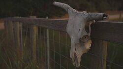 Mystery In Cuero Mystery In Cuero