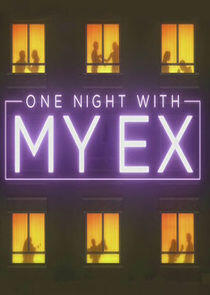 One Night with My Ex One Night with My Ex