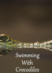 Swimming with Crocodiles Swimming with Crocodiles