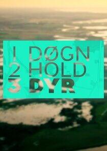 1 døgn, 2 hold, 3 dyr 1 døgn, 2 hold, 3 dyr