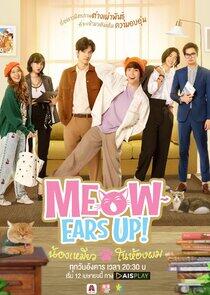 Meow Ears Up Meow Ears Up