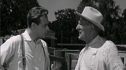Corky and the Circus Doctor Corky and the Circus Doctor