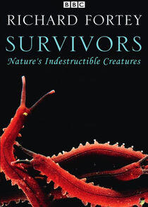 Survivors: Nature's Indestructible Creatures Survivors: Nature's Indestructible Creatures