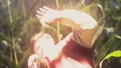 Clap Your Hands If You Believe Clap Your Hands If You Believe
