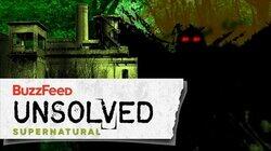 The Search for the Mysterious Mothman The Search for the Mysterious Mothman