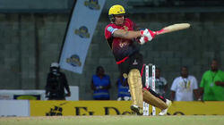 Cricket Cricket