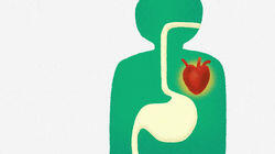 Why Diets Fail Why Diets Fail