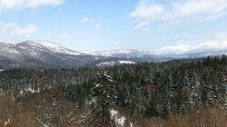 Woodlands of Furano Woodlands of Furano