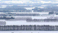 Tokachi Plain in Winter Tokachi Plain in Winter