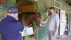 The Belmont: Test of a Champion