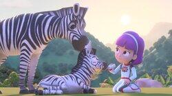 Baby Gorilla Missing and Other Adventures