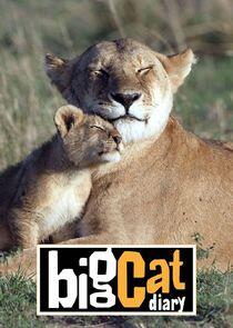 Big Cat Diary Big Cat Diary