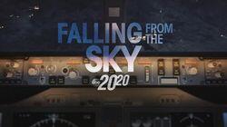 Falling From the Sky Falling From the Sky