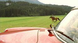 Mord im Galopp Mord im Galopp