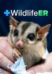 Wildlife ER Wildlife ER