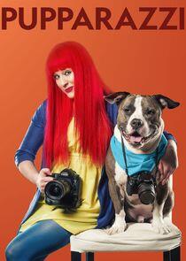 Pupparazzi Pupparazzi