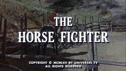 The Horse Fighter The Horse Fighter